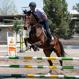 Tercer concurso de Salto 2019 Hípico La Cabaña @tar.mx