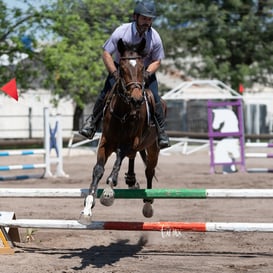 Tercer concurso de Salto 2019 Hípico La Cabaña @tar.mx