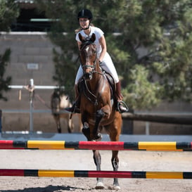 Tercer concurso de Salto 2019 Hípico La Cabaña @tar.mx