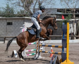 Tercer concurso de Salto 2019 Hípico La Cabaña @tar.mx