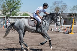 Tercer concurso de Salto 2019 Hípico La Cabaña @tar.mx