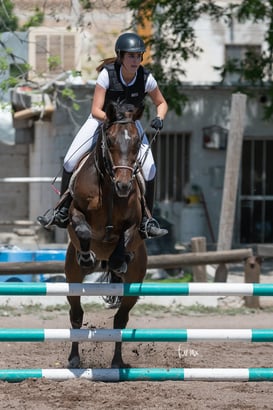 Tercer concurso de Salto 2019 Hípico La Cabaña @tar.mx