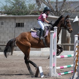 Tercer concurso de Salto 2019 Hípico La Cabaña @tar.mx