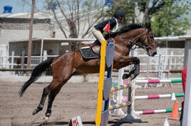 Tercer concurso de Salto 2019 Hípico La Cabaña @tar.mx