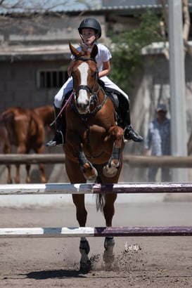 Tercer concurso de Salto 2019 Hípico La Cabaña @tar.mx