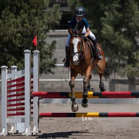 Tercer concurso de Salto 2019 Hípico La Cabaña @tar.mx