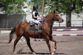 Tercer concurso de Salto 2019 Hípico La Cabaña @tar.mx