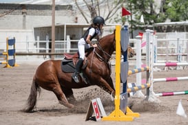 Tercer concurso de Salto 2019 Hípico La Cabaña @tar.mx