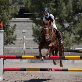 Tercer concurso de Salto 2019 Hípico La Cabaña @tar.mx