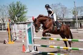 Tercer concurso de Salto 2019 Hípico La Cabaña @tar.mx