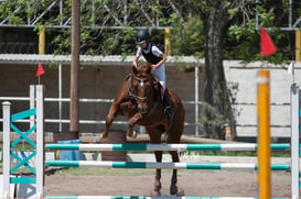 Tercer concurso de Salto 2019 Hípico La Cabaña @tar.mx