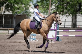 Tercer concurso de Salto 2019 Hípico La Cabaña @tar.mx