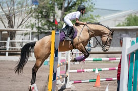 Tercer concurso de Salto 2019 Hípico La Cabaña @tar.mx