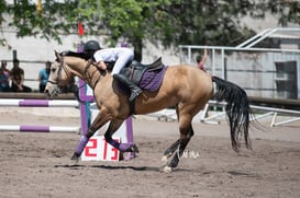 Tercer concurso de Salto 2019 Hípico La Cabaña @tar.mx