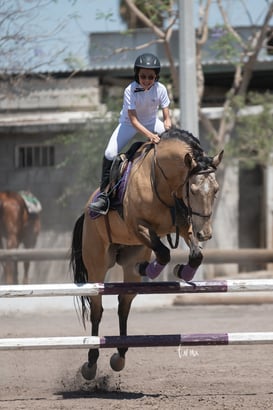 Tercer concurso de Salto 2019 Hípico La Cabaña @tar.mx