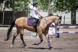 Tercer concurso de Salto 2019 Hípico La Cabaña @tar.mx