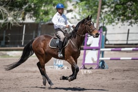 Tercer concurso de Salto 2019 Hípico La Cabaña @tar.mx