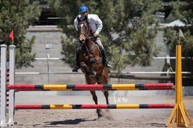 Tercer concurso de Salto 2019 Hípico La Cabaña @tar.mx