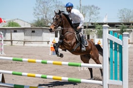 Tercer concurso de Salto 2019 Hípico La Cabaña @tar.mx