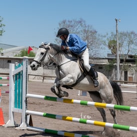 Tercer concurso de Salto 2019 Hípico La Cabaña @tar.mx