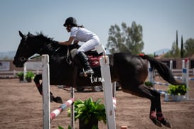 Tercera Copa Las Brisas @tar.mx