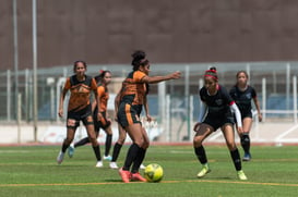 Aztecas FC vs Panteras FC @tar.mx