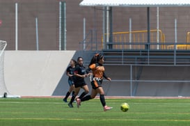 Aztecas FC vs Panteras FC @tar.mx