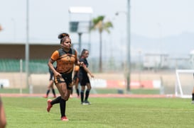 Aztecas FC vs Panteras FC @tar.mx