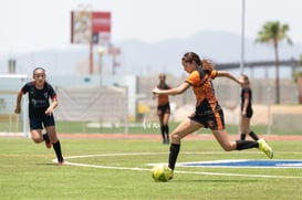 Aztecas FC vs Panteras FC @tar.mx