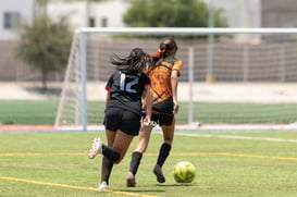 Aztecas FC vs Panteras FC @tar.mx