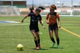 Aztecas FC vs Panteras FC @tar.mx