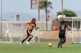 Aztecas FC vs Panteras FC @tar.mx