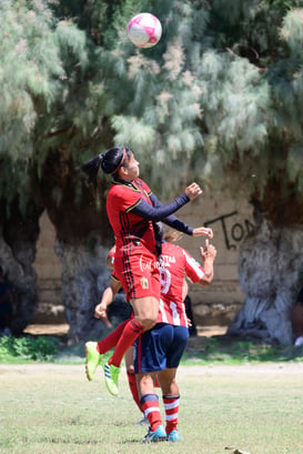 Hormiguero FC vs La Partida FC final @tar.mx