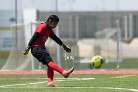 Panteras FC vs Ferrocarrileras @tar.mx