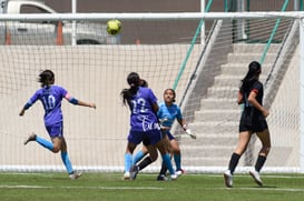 Panteras FC vs Ferrocarrileras @tar.mx