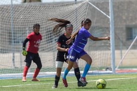 Panteras FC vs Ferrocarrileras @tar.mx