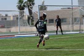 Santos sub 17 vs Alces Laguna @tar.mx