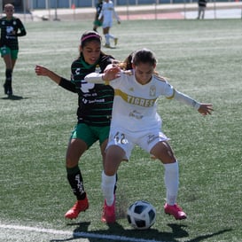 Santos Tigres femenil sub17 @tar.mx