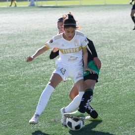 Santos Tigres femenil sub17 @tar.mx