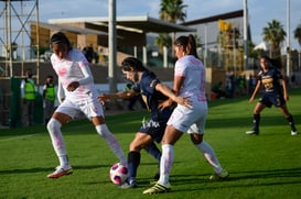 Brenda López, Estela Gómez, Dania Padilla @tar.mx