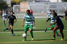 CEFOR Santos vs Británico femenil @tar.mx