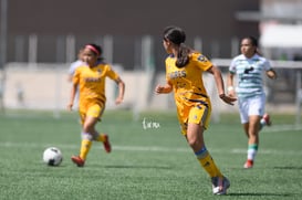 Santos vs Tigres J16 C2022 Liga MX @tar.mx