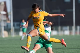 Santos Laguna vs Tigres femenil sub 18 J8 @tar.mx