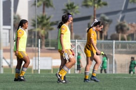 Santos Laguna vs Tigres femenil sub 18 J8 @tar.mx