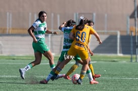 Santos Laguna vs Tigres femenil sub 18 J8 @tar.mx