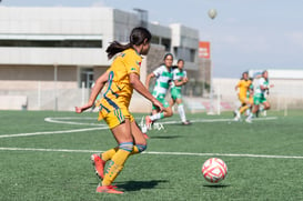 Santos Laguna vs Tigres femenil sub 18 J8 @tar.mx