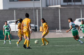 Santos vs Tigres J13 C2023 Liga MX @tar.mx