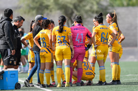 Santos vs Tigres J13 C2023 Liga MX @tar.mx