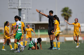 Santos vs Tigres J13 C2023 Liga MX @tar.mx