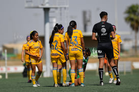 Santos vs Tigres J13 C2023 Liga MX @tar.mx